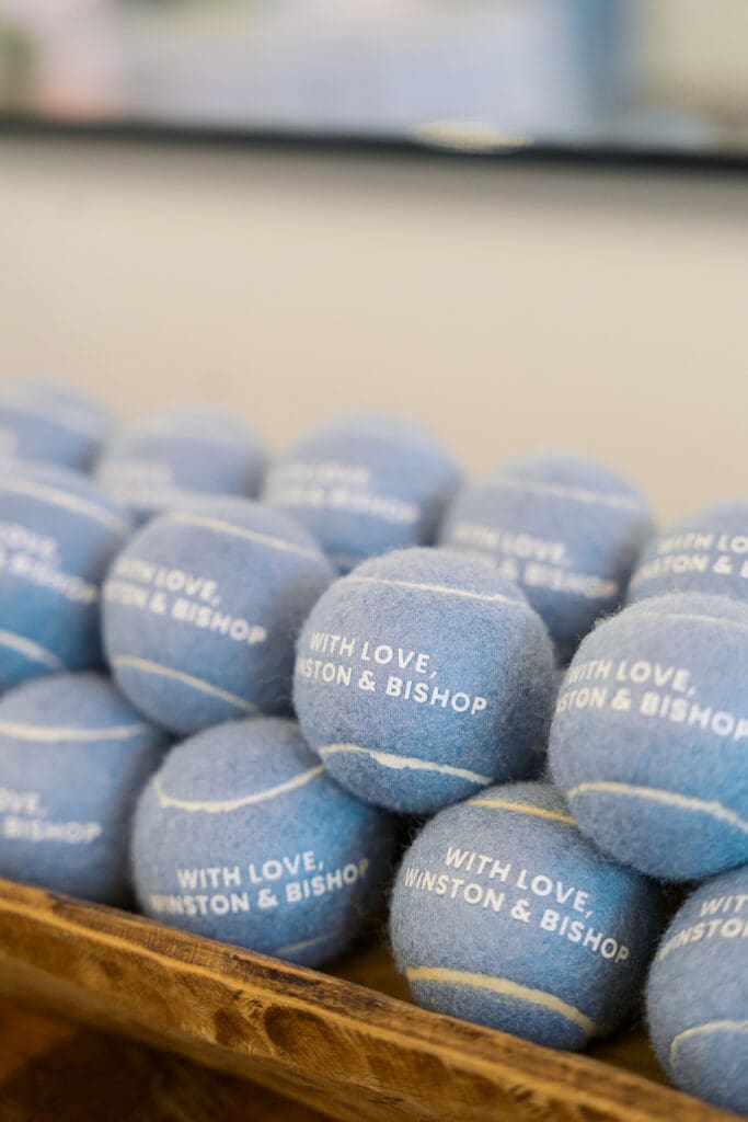 blue tennis balls with dog names on them